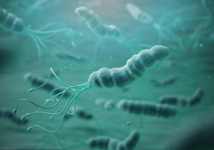 我國是胃癌大國，一半與幽門螺杆菌感染有關